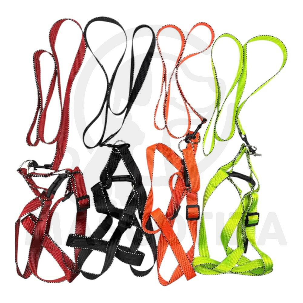 Arnes Cinta Color con Orilla Reflectante
