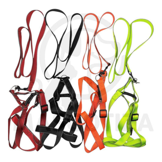 Arnes Cinta Color con Orilla Reflectante