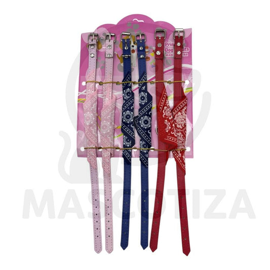 Set Collar con Pañuelo 6pcs