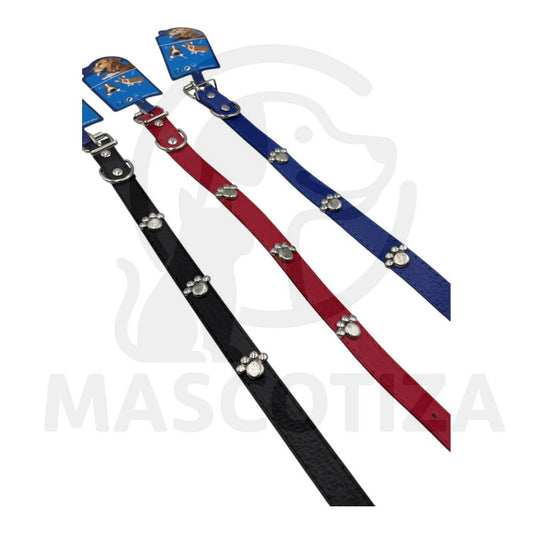 Collar con Placas de Patita