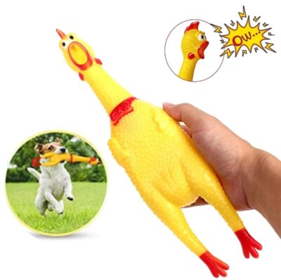 Pollo Chillon