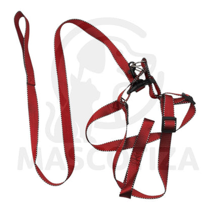 Arnes Cinta Color con Orilla Reflectante