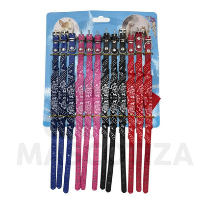 Set Collar Pañuelo