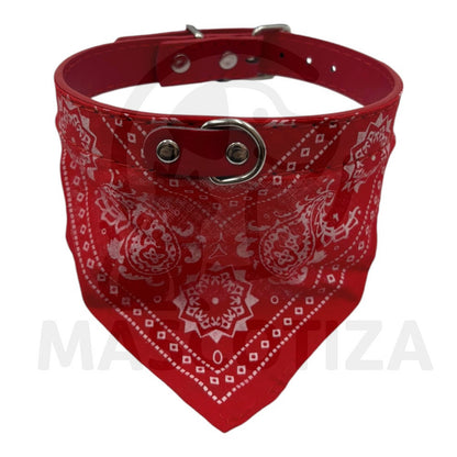 Collar con Pañuelo